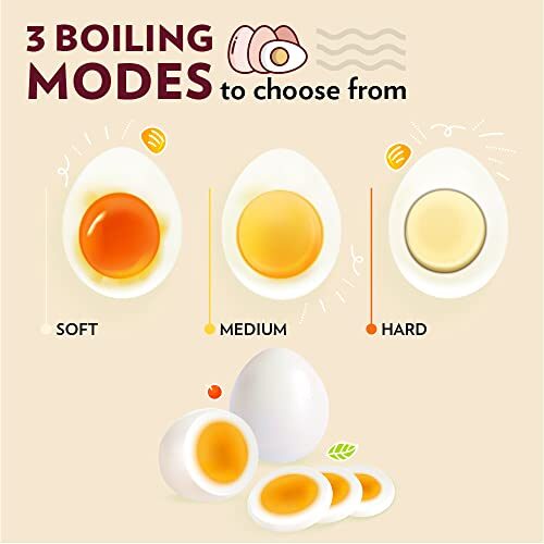 Borosil Electric Egg Boiler, 8 Egg Capacity, For Hard, Soft, Medium Boiled Eggs, Steamed Vegetables, Transparent Lid, Stainless Steel Exterior (500 Watts) - Image 5